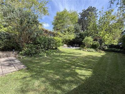 Picture 29